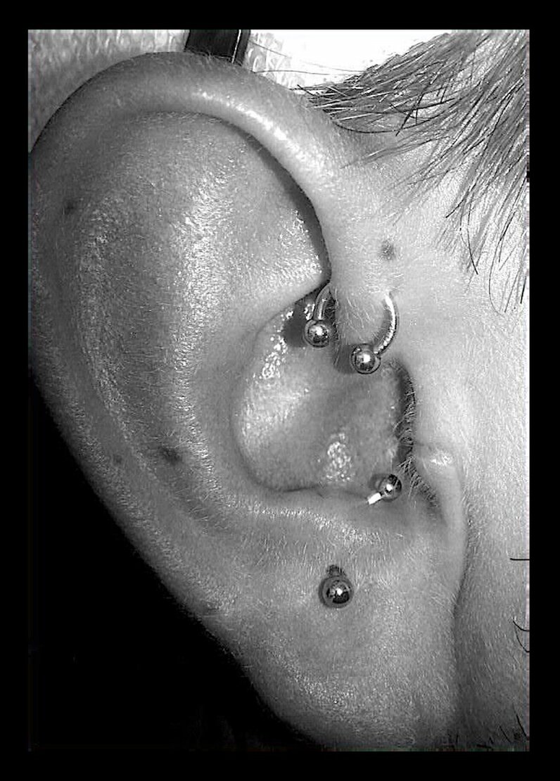 A beautiful Piercing done by sabrina, one of Anker Tattoo & Piercings professional artists